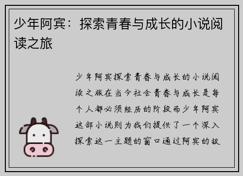 少年阿宾：探索青春与成长的小说阅读之旅